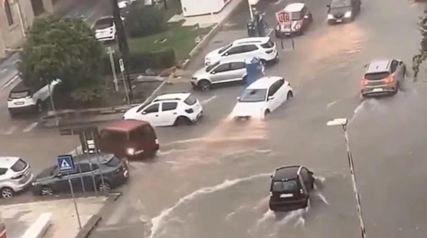 5318197852249680 image