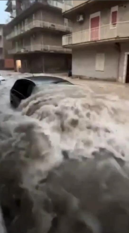 5318198168493058 image