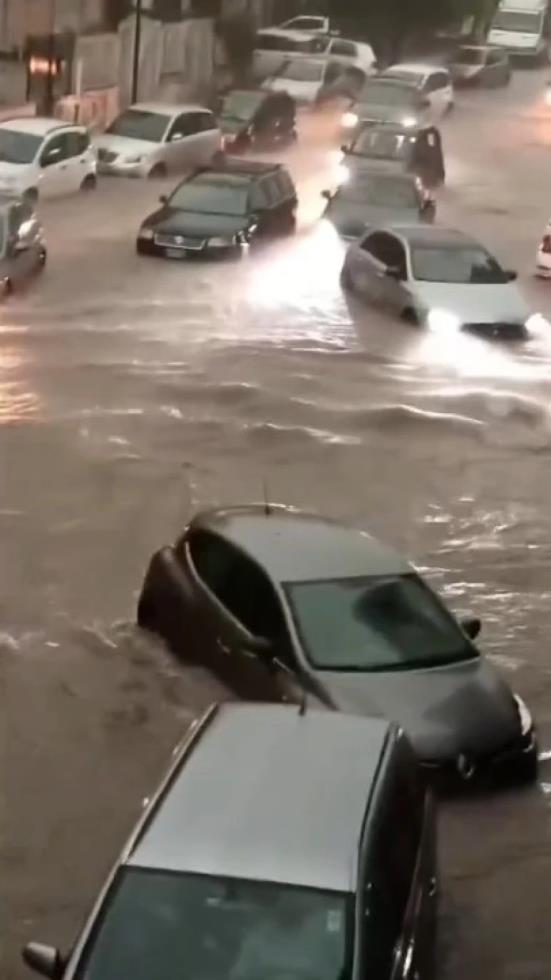 5318198297458466 image