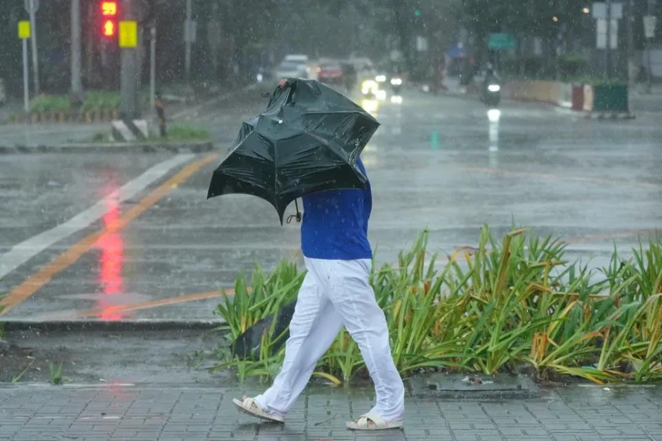 5320078024046426 image