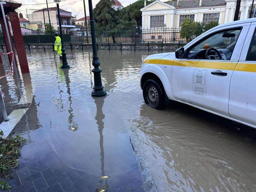 5320854905907783 image