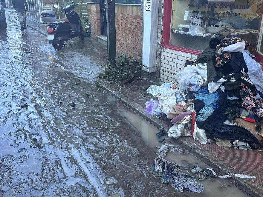 5320855068273089 image