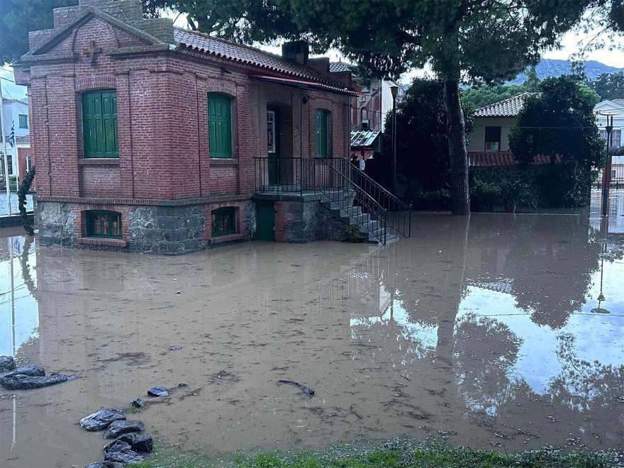 5320855150601530 image