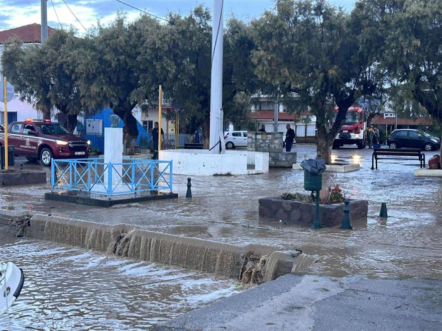 5320855268078400 image