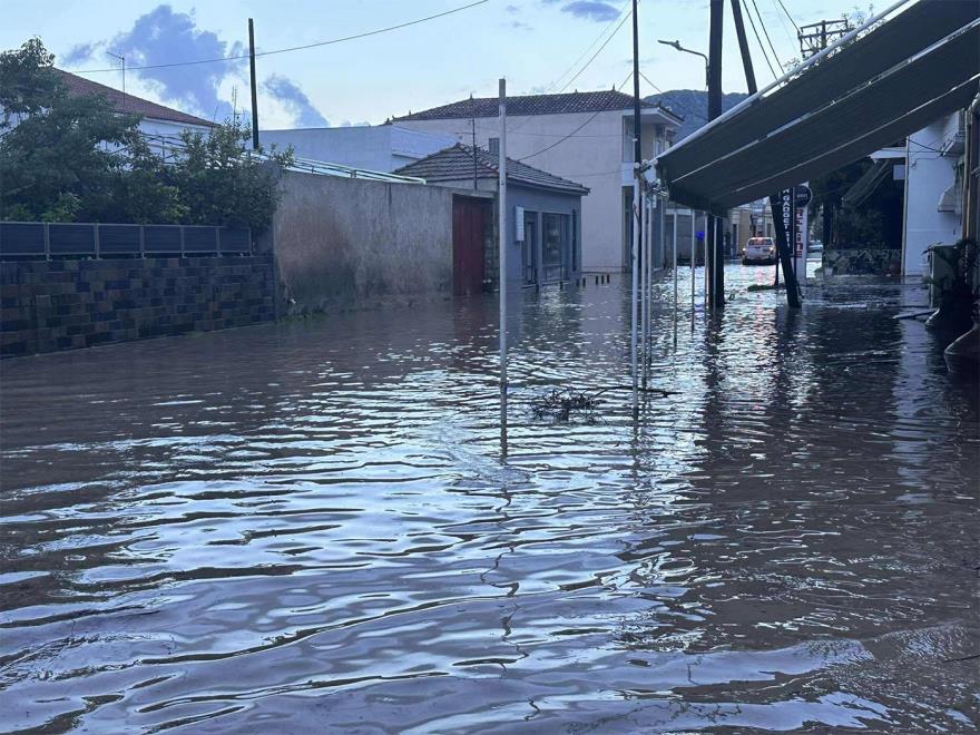 5320855296171106 image