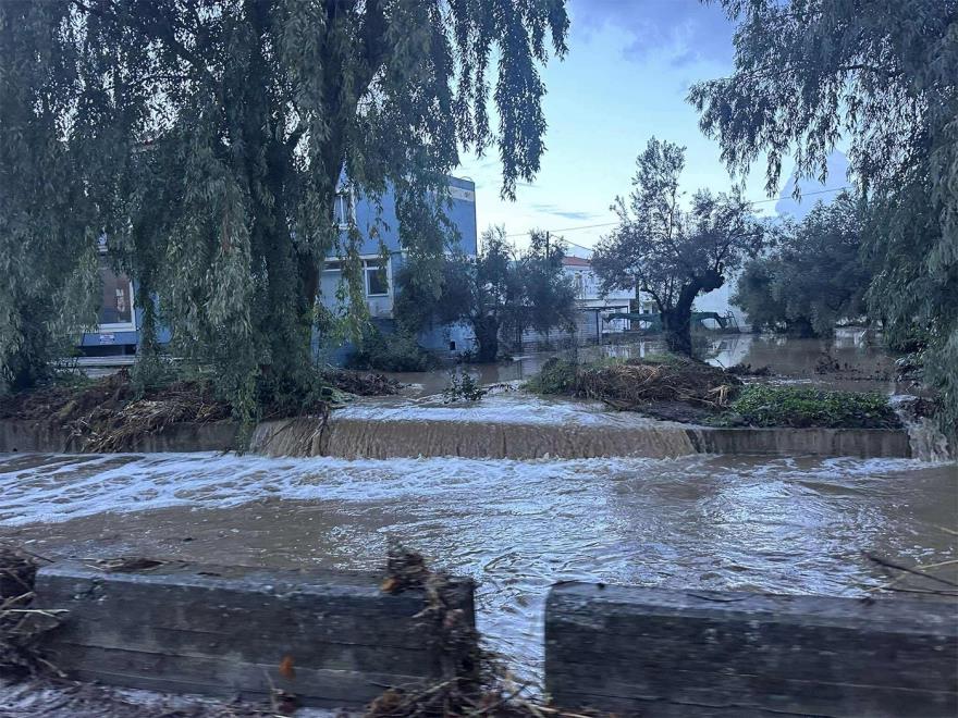 5320855340059529 image