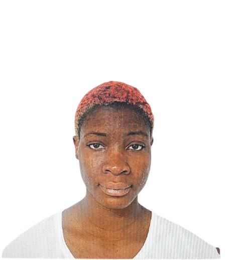 5322103118237737 image