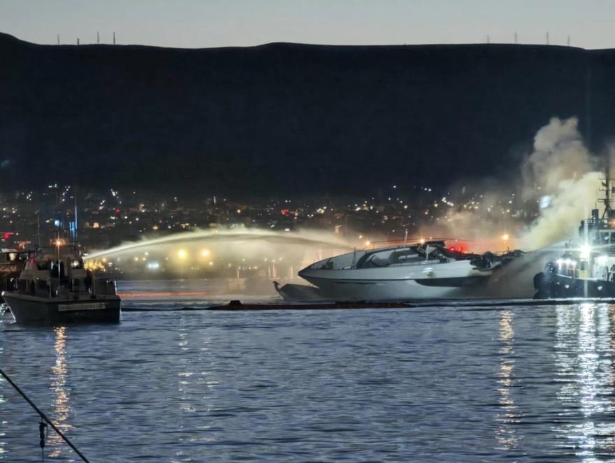 5322695024422072 image