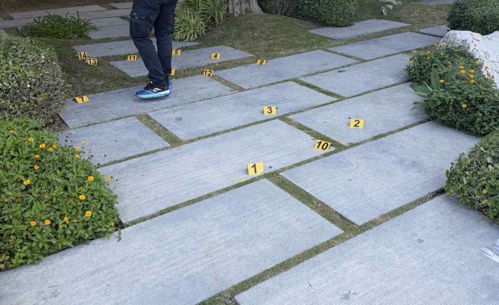 5322909919068828 image