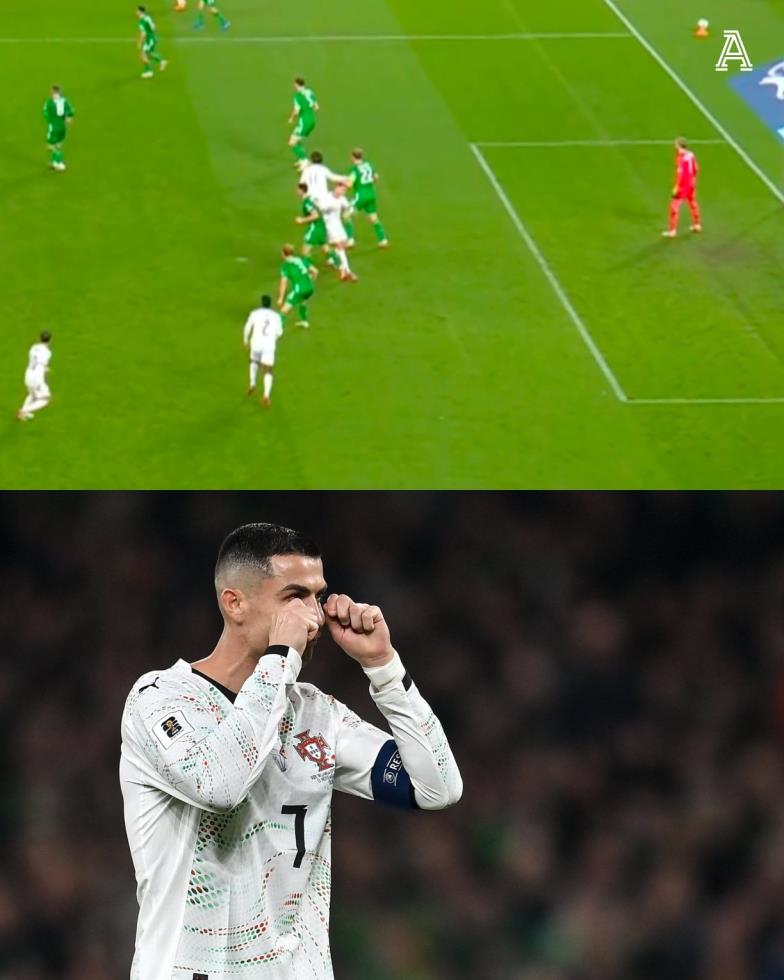 5323404033431914 image