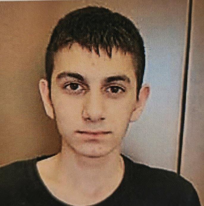 5323424246648469 image