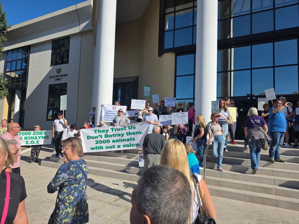 5323509969719433 DOC.20251114.9391891.pafos