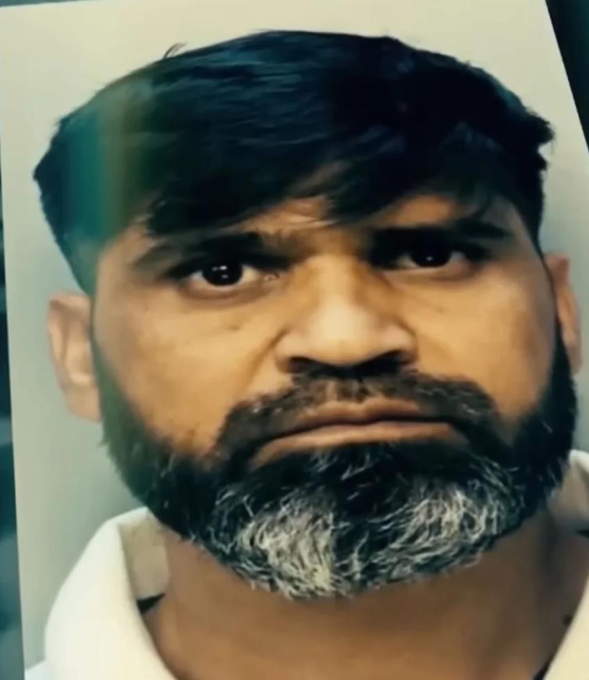 5323555287866634 image