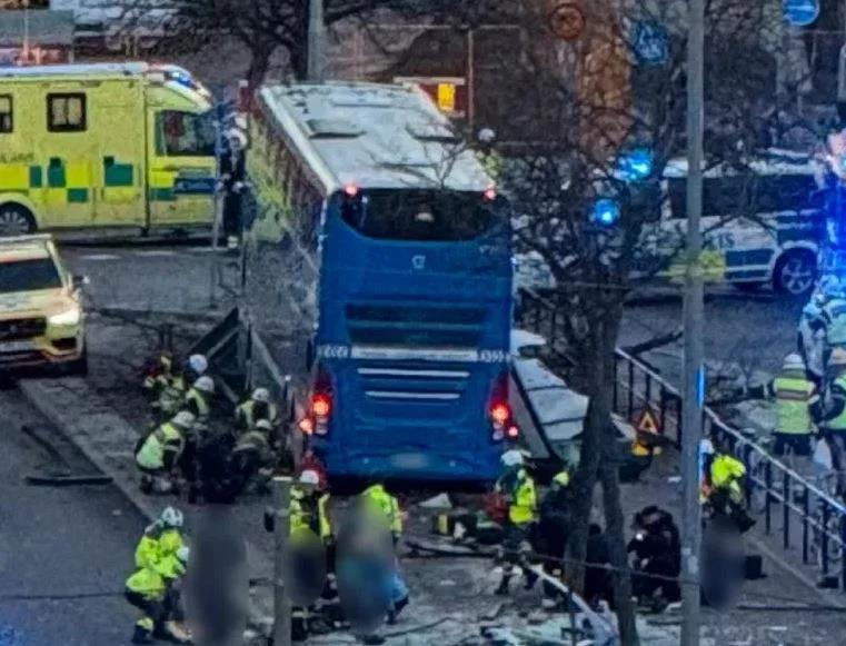 5323888779703652 image