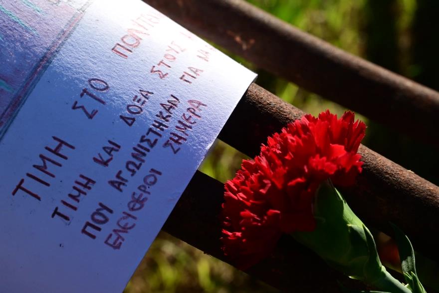 5324512818284816 image