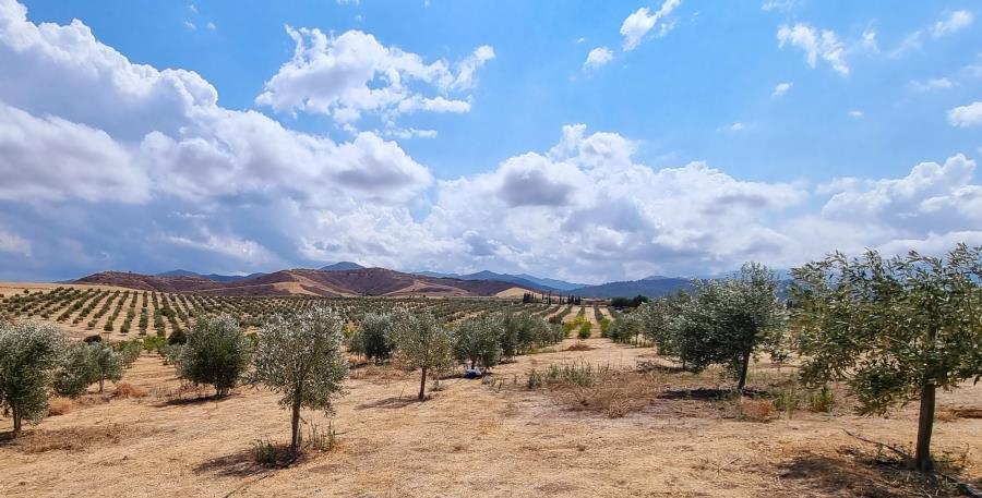 5323815486118518 20210916 130149