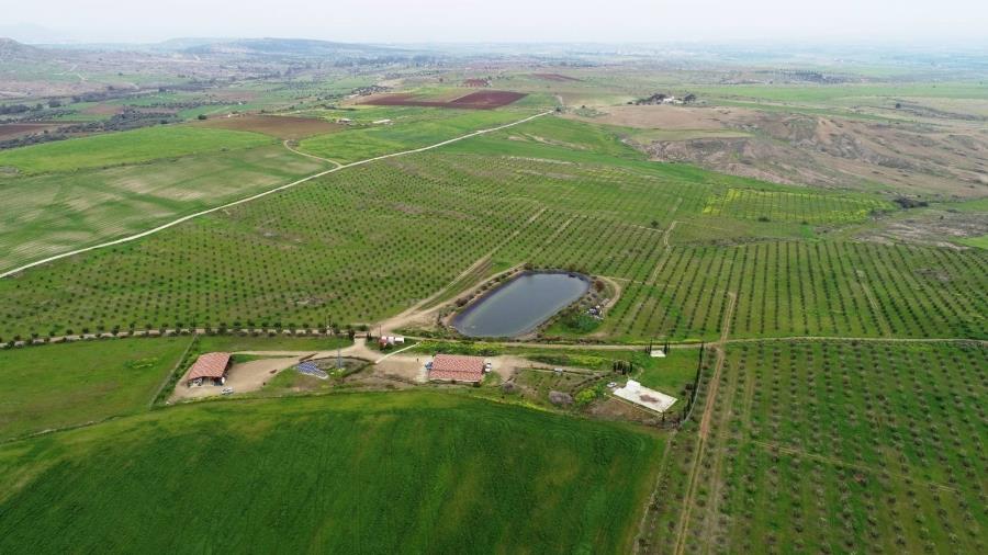 5323816146751007 farma1