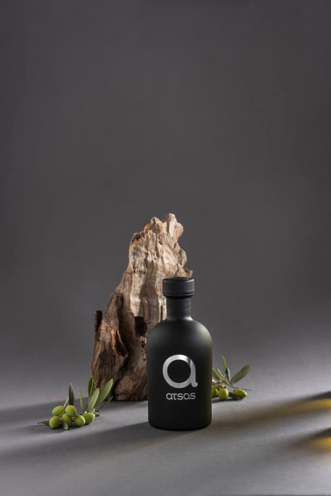 5323816646727825 Img116099