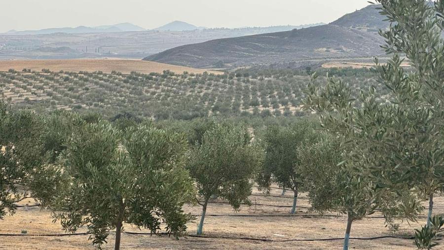 5323816682039703 viber image 2025-11-14 19-37-37-975