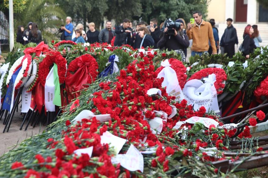 5326253164359424 image