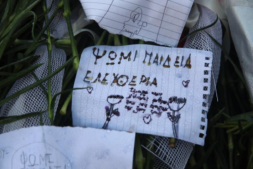 5326253289366555 image