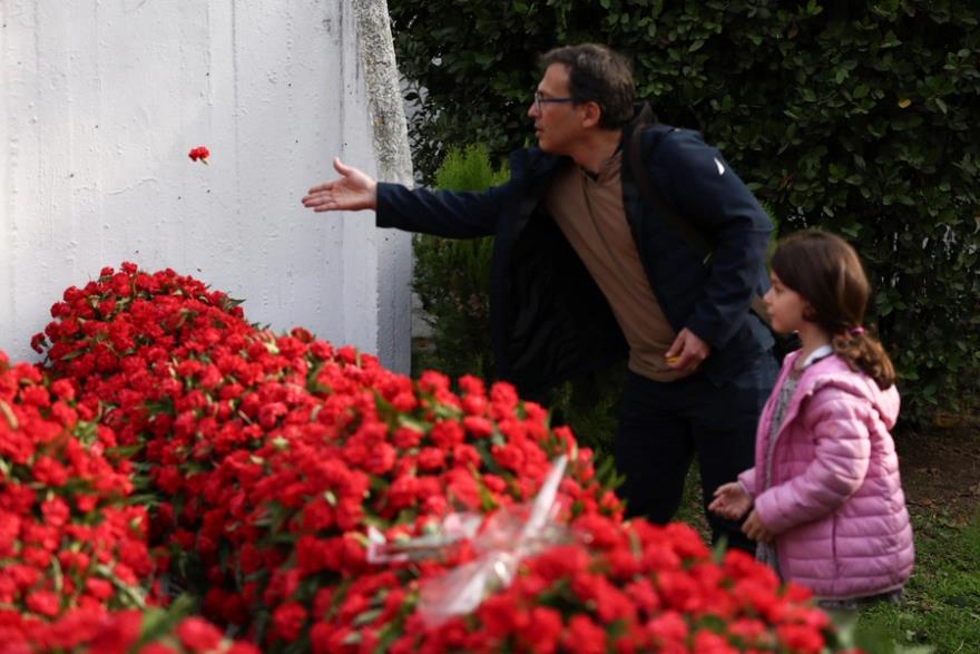 5326253545295980 image