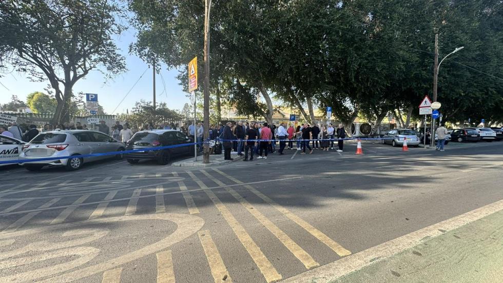 5327763604463621 cats