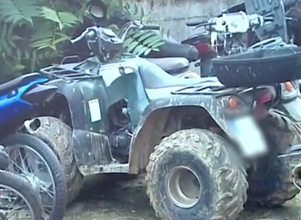 5328167782917391 image