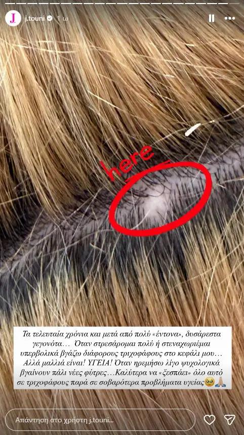 5328614266473458 image