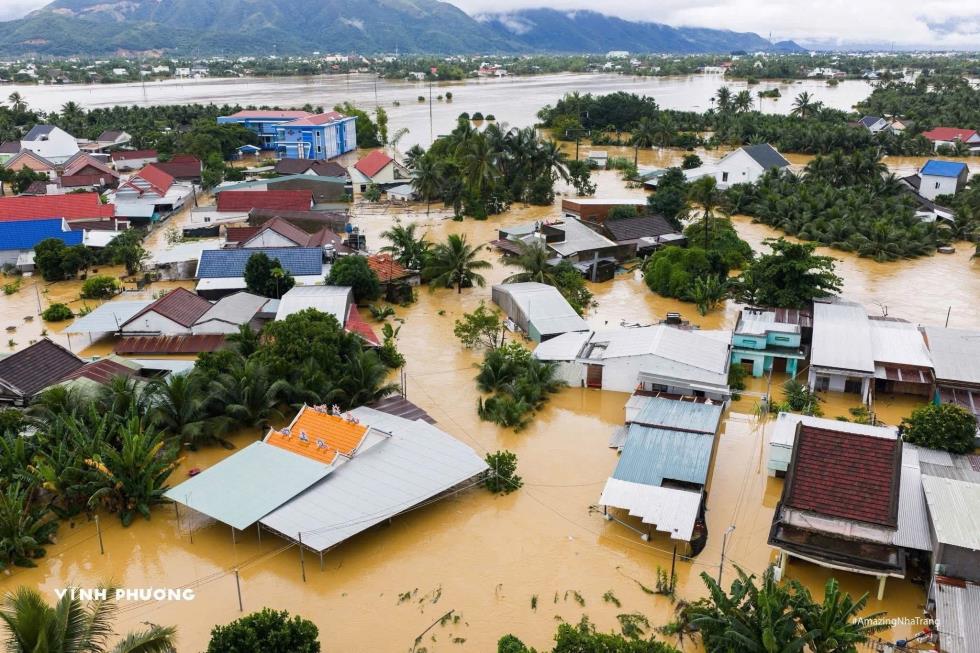 5330370910505583 image