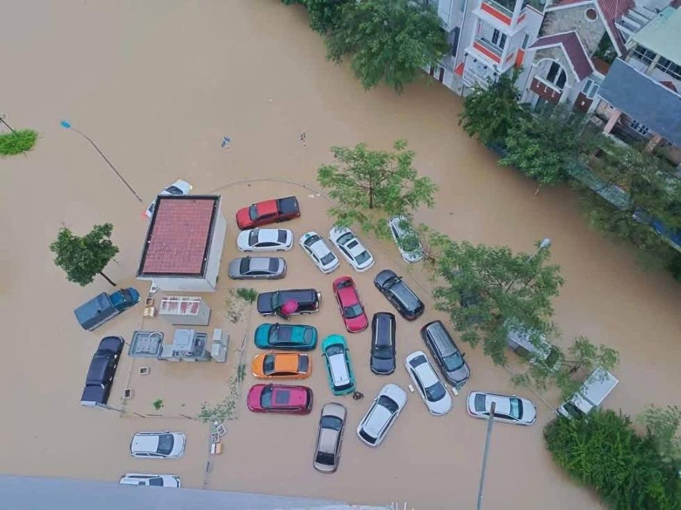 5330371140554184 image