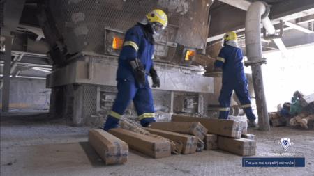 5330403279141985 image