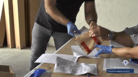 5330403413480440 image