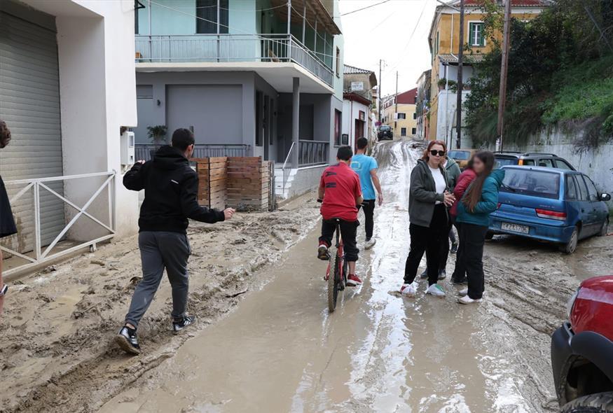 5330492335944309 image