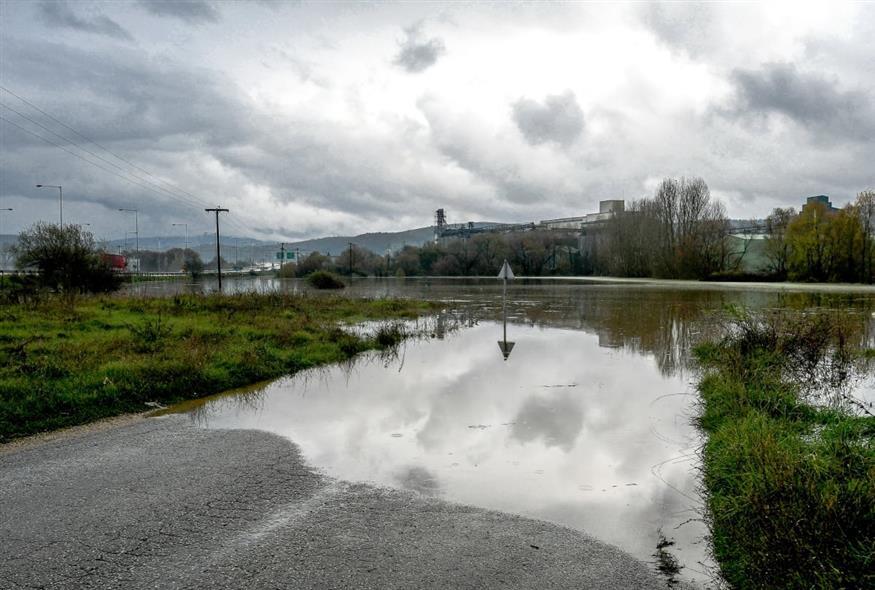 5330492759081335 image