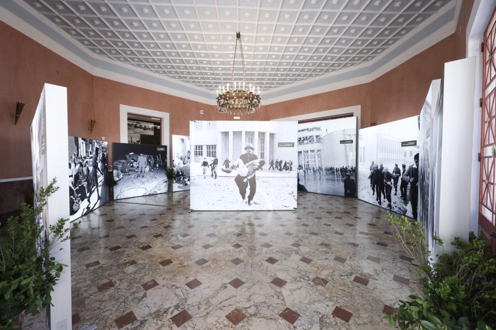 5330561264964980 image