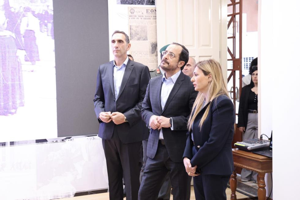 5330561952029471 image