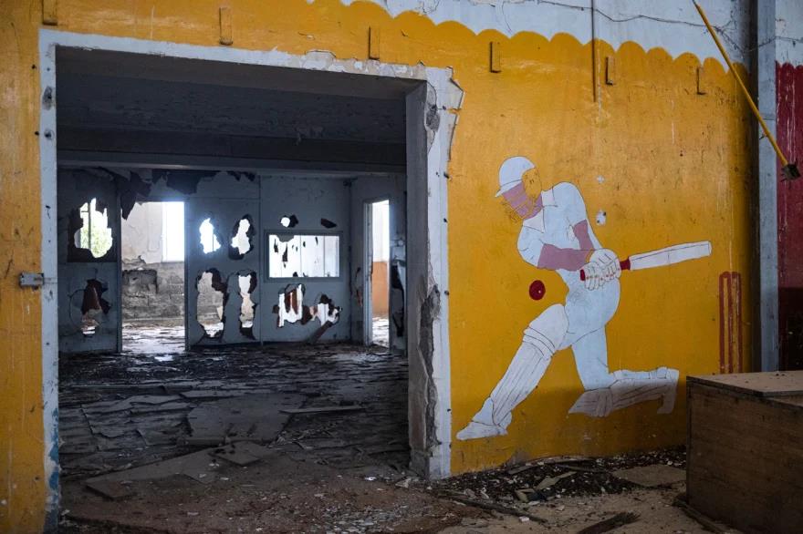 5331260279751216 image