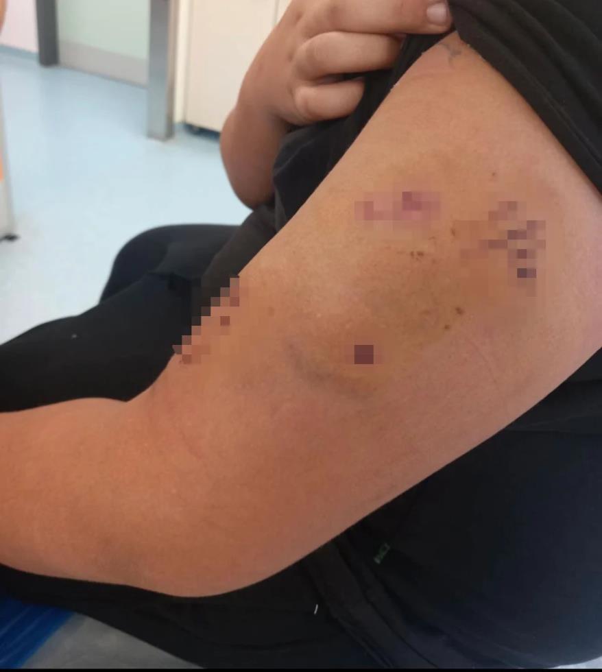 5331391522819707 image