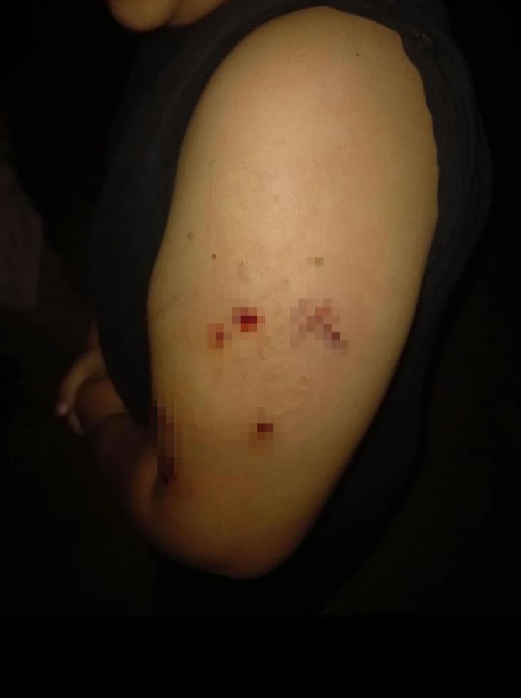 5331391677270255 image