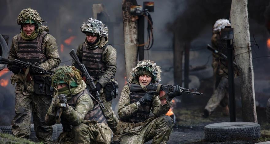 5331416335923103 image