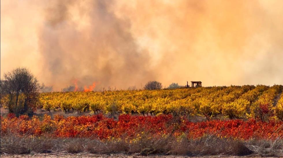 5331473042316139 image