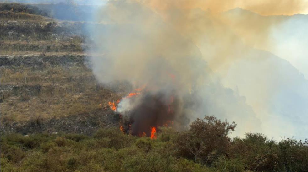 5331473107450168 image