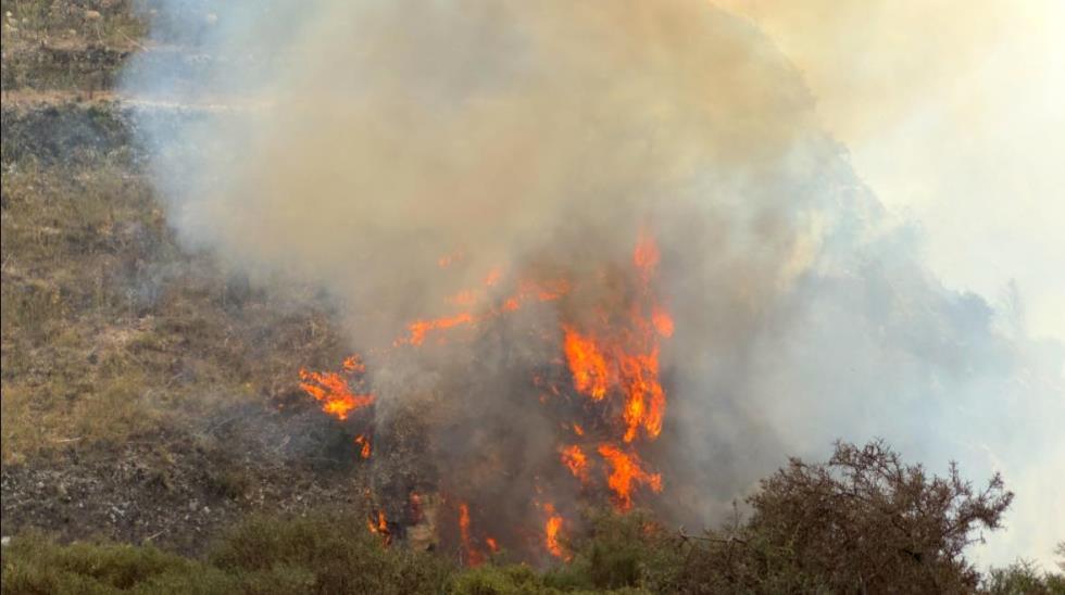 5331473213121615 image