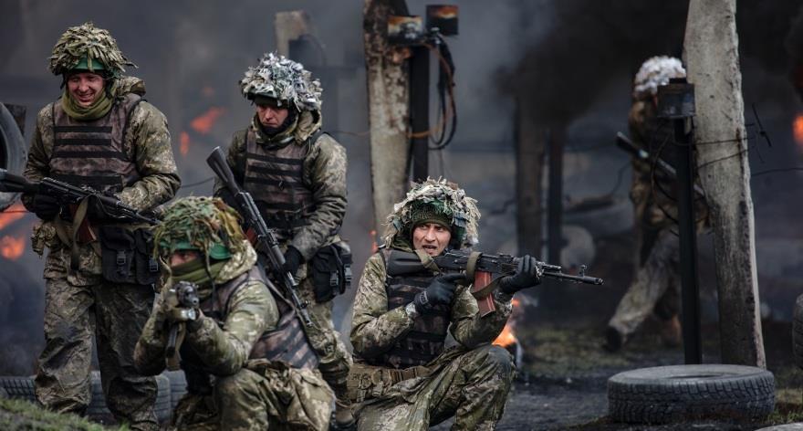 5331502296625043 image