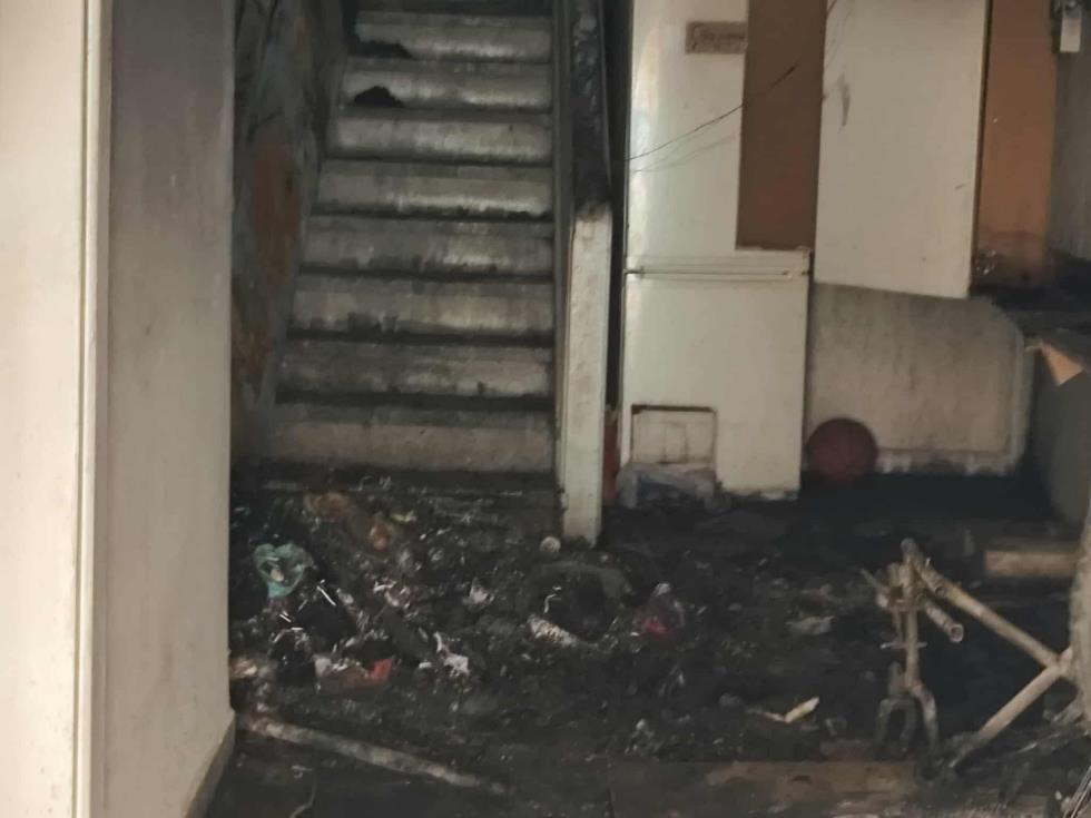 5333017713860184 image