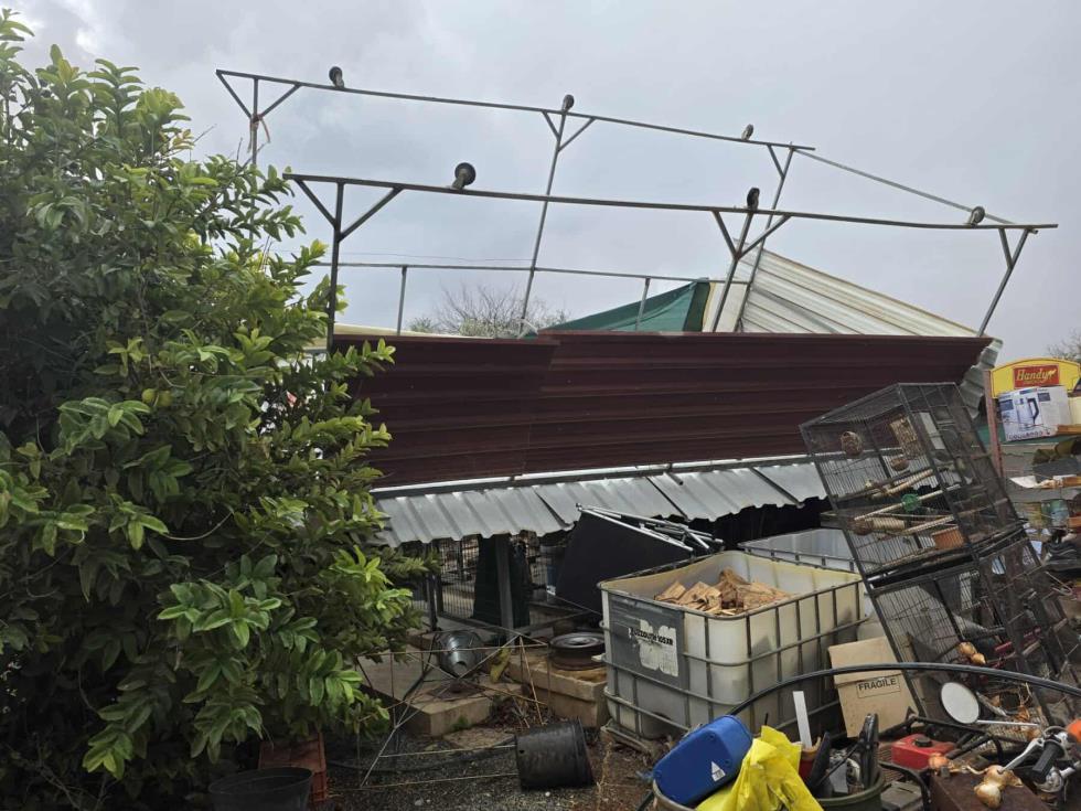 5333163215987602 image