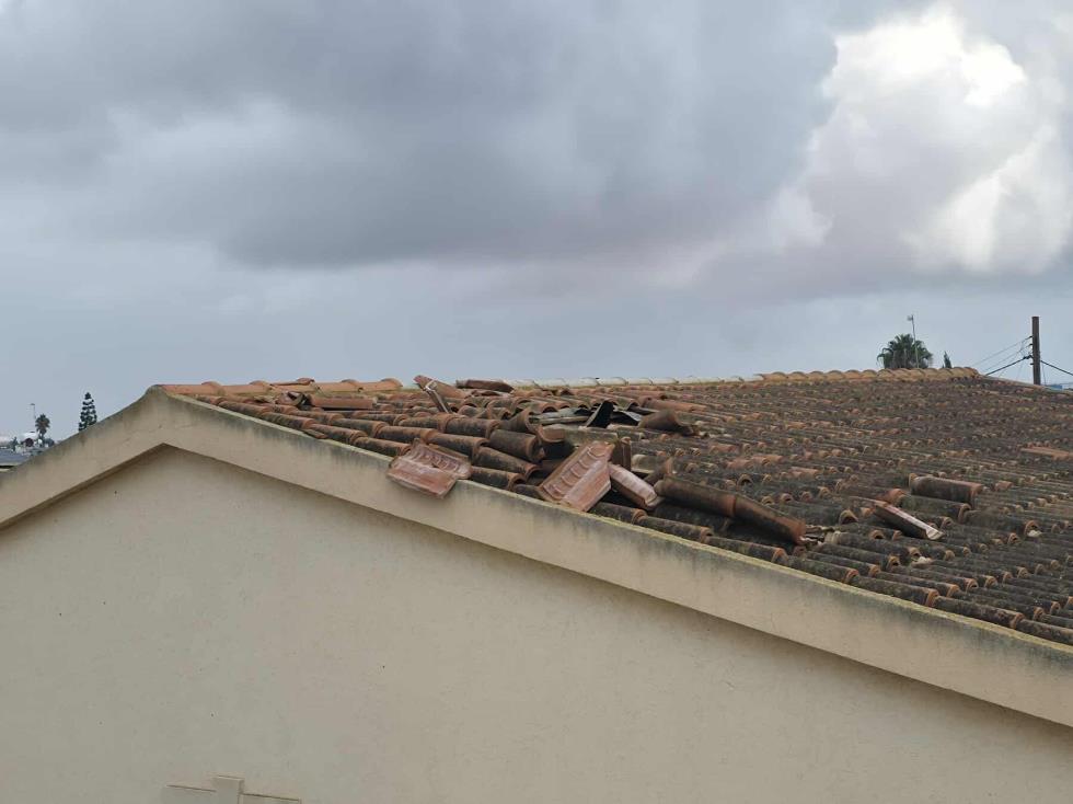 5333163826833101 image