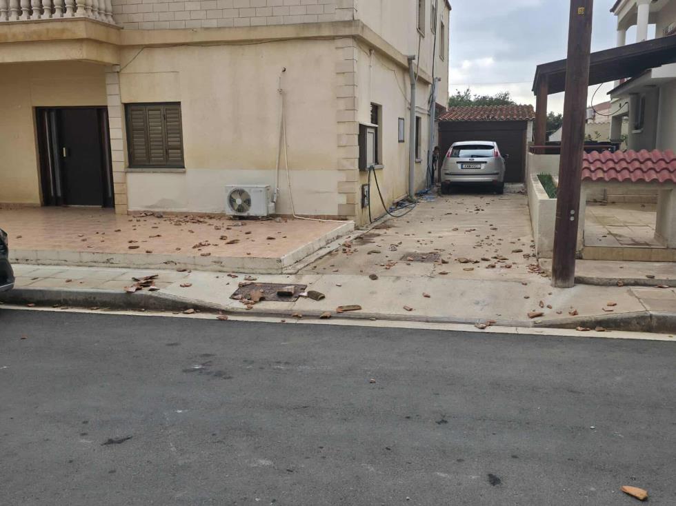 5333163952477445 image