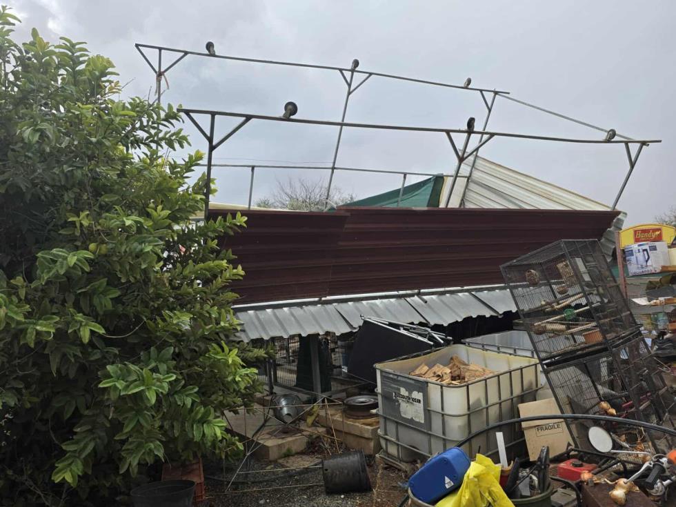 5333179530703197 image